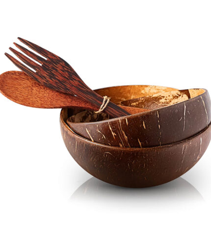 Set-zdjelica-od-kokosa