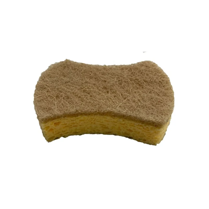 Kućanska spužva